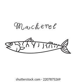 Fish. Mackerel. Outline vector illustration. 