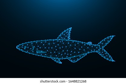 Fish made from points and lines on dark blue background, animal wireframe mesh polygonal vector illustration