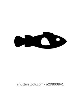Fish marine animal