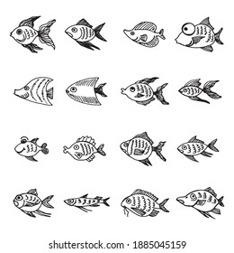 fish marine drawing vector sketch set