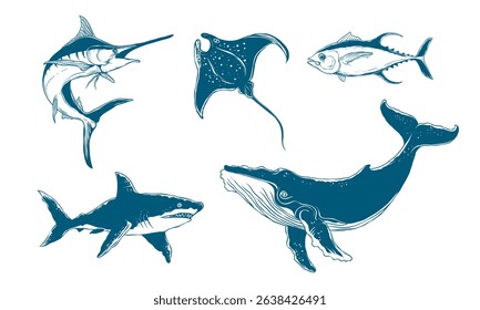 Fish and marine life hand drawn vector illustration. Suitable for marine biodiversity design element. Whale, shark, and marlin illustration.