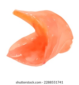 fish meat with style hand drawn digital painting illustration