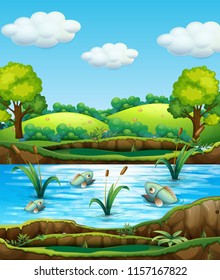 Fish in nature pond illustration