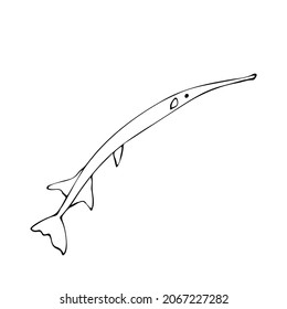 
Fish needle. An isolated item on a white background.