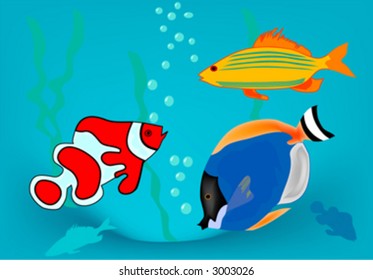 fish in ocean