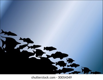 fish in the ocean illustration