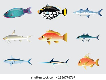 fish ocean vector  illustration