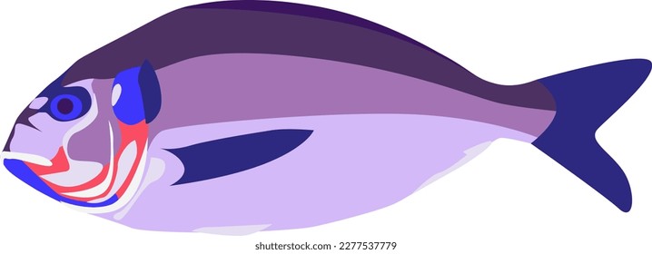 Pescado del océano. Ilustración vectorial.