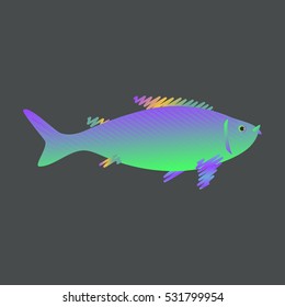 Fish on a dark background. Vector illustration.