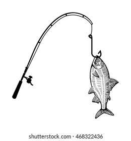 fish on the hook vector