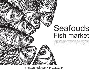 Fish on the kitchen table. Fish restaurant table background. Seafood top view illustration. Vector illustration