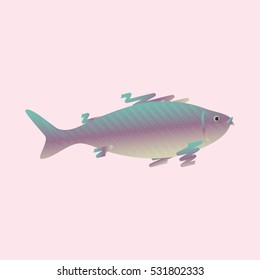 Fish on a light background. Vector illustration.