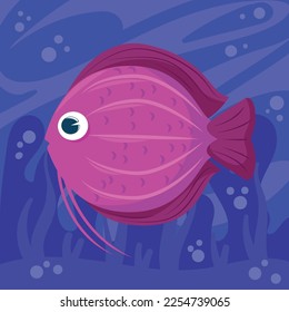 fish on purple background design