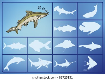 Fish On The Sea