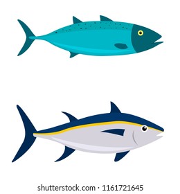 Fish on white background