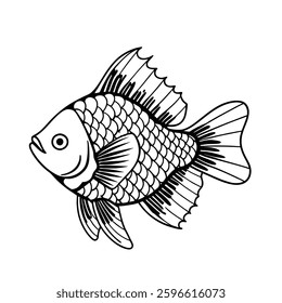 A fish on white background