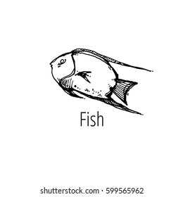 Fish on a white background. Contour black and white illustration. Ink. Cartoon icon. Nice character. Pet. Sea life. Marine inhabitants. Cute doodle illustration.