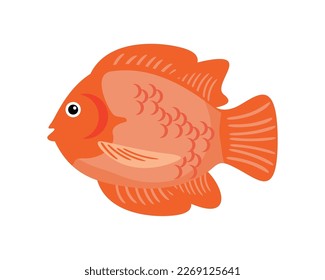 fish on white background icon isolated