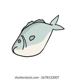 fish on a white background outline color vector illustration