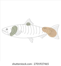 Peixe Contorno Arte Cores Sutis