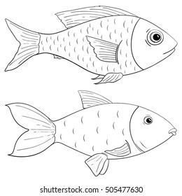 Fish outline drawing. Vector illustration isolated on white background