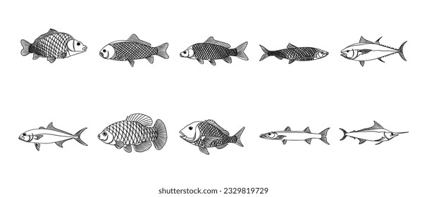 Fish Outline Illustration Vector Set