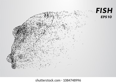 Fish from of particles. The fish consists of circles and dots