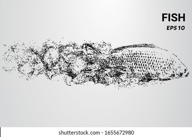 Pescado de las partículas. El pez está formado por círculos y puntos. El pez se divide en moléculas.