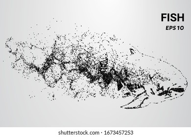 Fish from the particles. The fish consists of circles and dots. The fish splits into molecules.