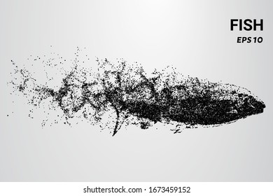 Fish from the particles. The fish consists of circles and dots. The fish splits into molecules.