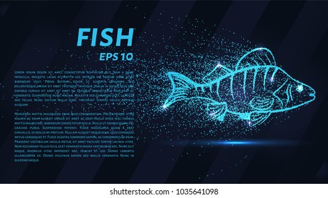 Fish from the particles. Fish consists of small circles and dots. Vector illustration