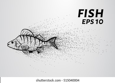 Fish from the particles. Fish consists of small circles and dots.