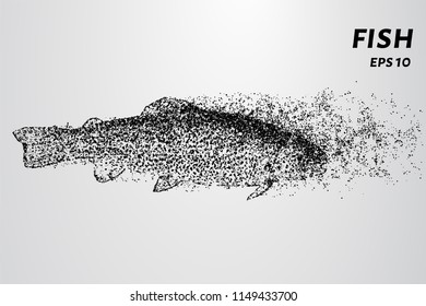 Fish from of particles. Trout swims in the water, leaving a trail of dots.