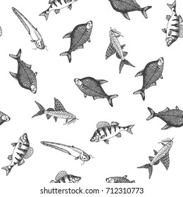 Fish pattern. Sketch of carp. Hand drawn vector illustrations. Vector sea and ocean creatures for seafood menu design.