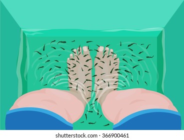 Fish Pedicure or Massage concept. Top View of Feet in a Spa Massage Tub Filled with Doctor Fish or Garra rufa. Editable Clip Art. 