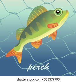 Fish perch and fishing tackle. label for canned fish. Vector illustration