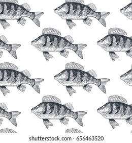 Fish perch seamless pattern, isolated black and white, side view, hand drawn