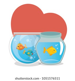 fish pet in aquarium