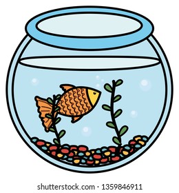 fish pet in aquarium