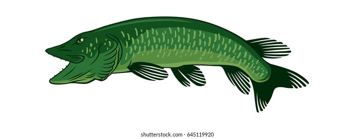 fish pike