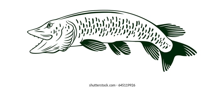 fish pike