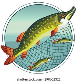 Fish pike in the grid. Labels for the fishing industry, icons, menu, banner, advertising the store. Vector illustration.