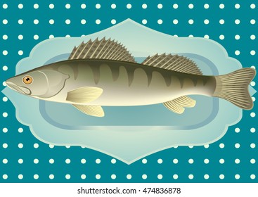 Fish pike perch on a platter. Decoration for restaurant menus, banners. Vector illustration