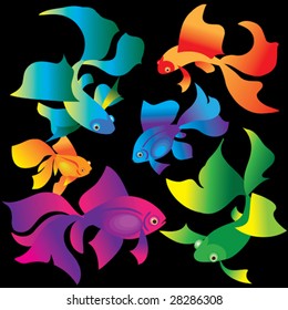 fish pond