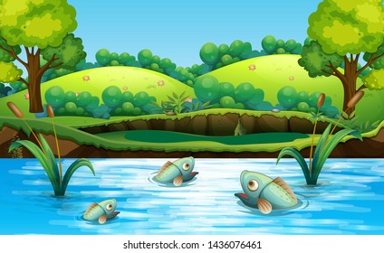 Pescado en la ilustración del estanque