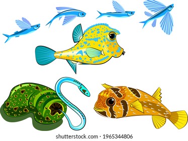 Fish Porcupine  ,boxwood Fish , Flying Fish  ,sea Cucumber And Pearl Fish ,anemone .Vector Illustration