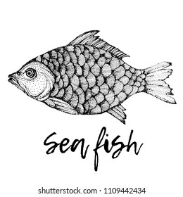 Fish poster. Monochrome.