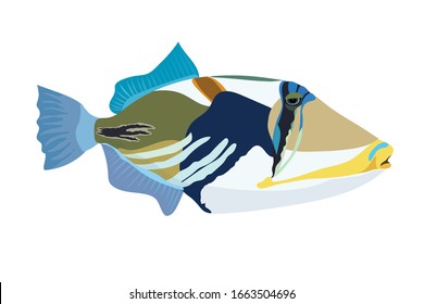 
Fish Of The Red Sea Painted Triggerfish, Picasso, An Unusual Marine Animal