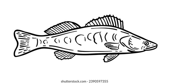 Fish is a resident of the sea. Vector illustration in doodle style