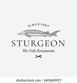 Fish Restaurant Abstract Vector Sign, Symbol or Logo Template. Hand Drawn Sturgeon or Beluga Fish with Classy Retro Typography. Vintage Vector Emblem. Isolated.